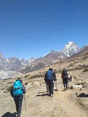 A group of trekkers hiking on a Himalayan mountain trail with snow-capped peaks under a clear blue sky