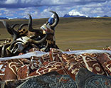 Holy mount kailash