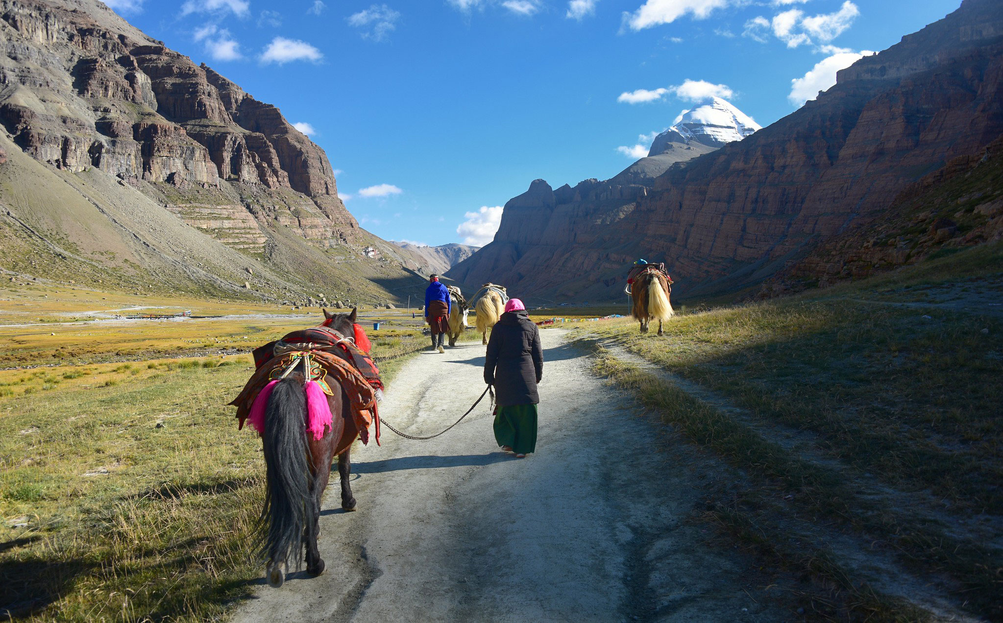 Pilgrims trekking with horses on the sacred Mount Kailash Yatra trail in the Himalayas under blue sky
